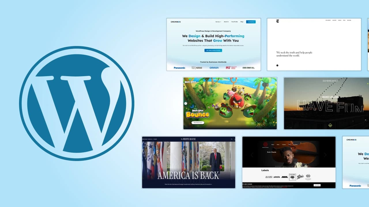 WordPress Website