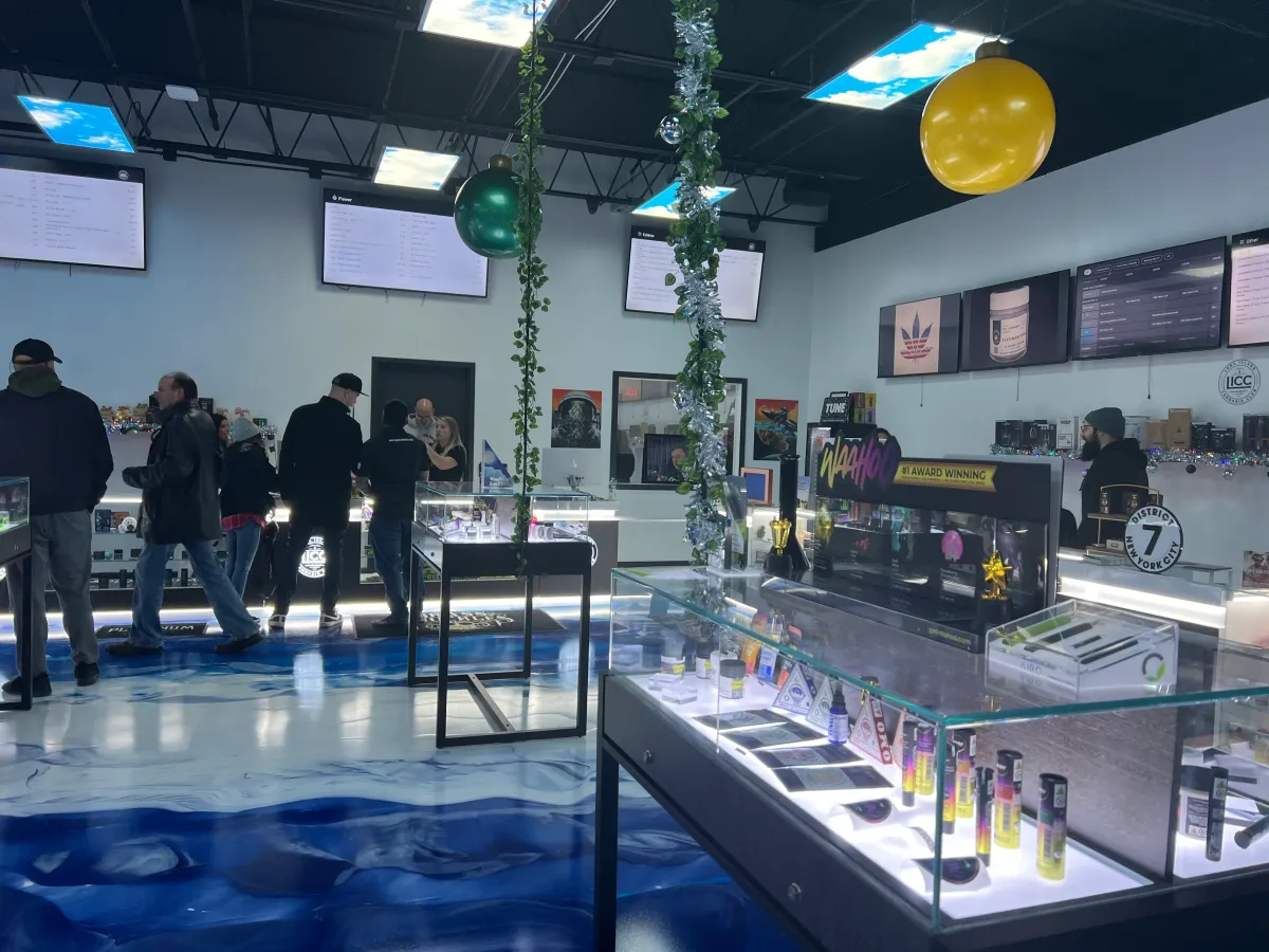 Choosing Premium Experiences at Cannabis Clubs Lloret de Ma