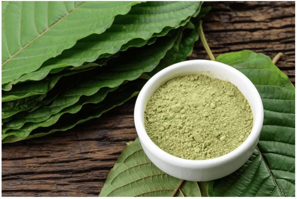Kratom Thailand: Your Guide to Safe and Lab-Tested Products
