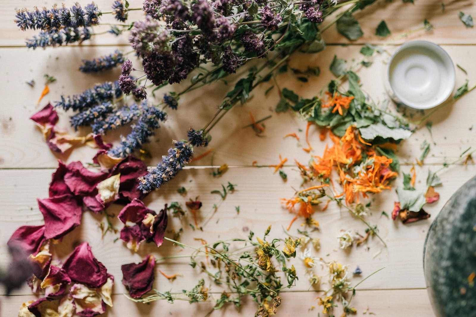 Explore the Best Ayurveda Online Courses for Practical Knowledge
