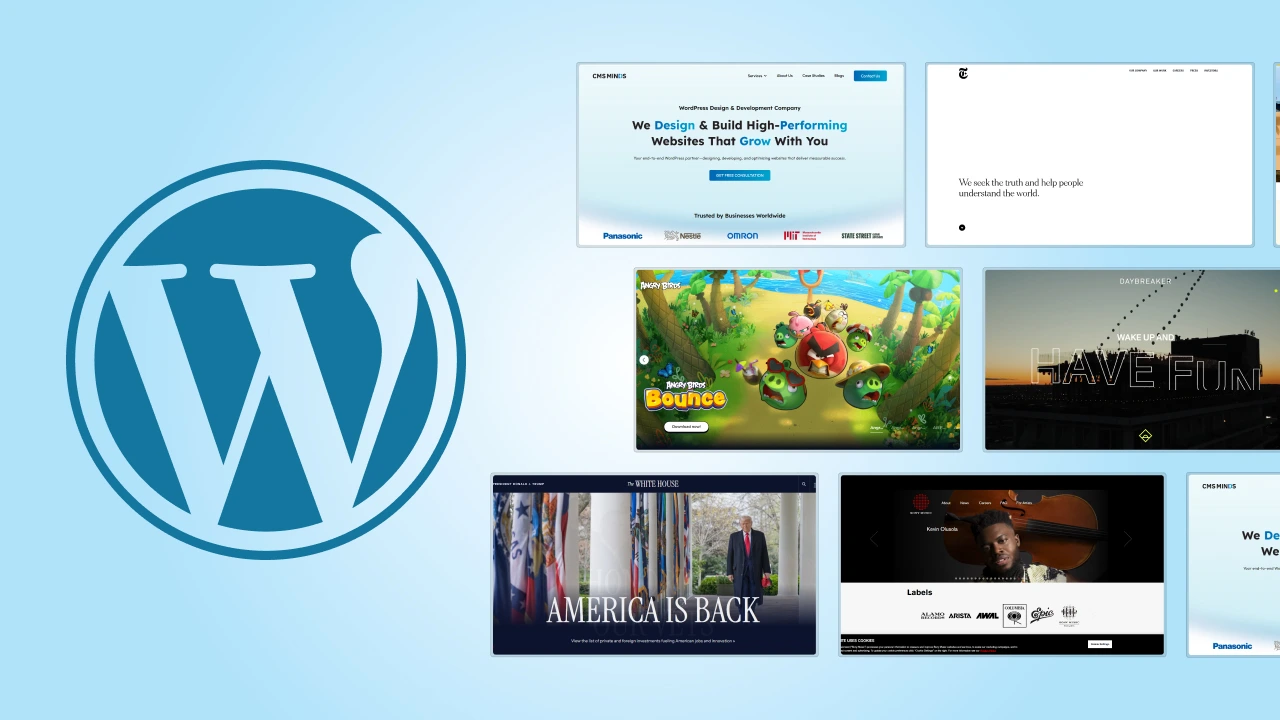 WordPress Website